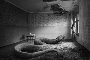 Saeed Rezvanian Lost Room 02 300x200 - Lost Room (Ongoing Project)